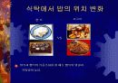 인간과 식품-사회변천에 관한 식생활 변화와 한국인의 음식 문화에 관한 분석 16페이지