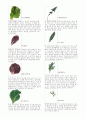 야채종류 1페이지