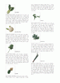 야채종류 3페이지