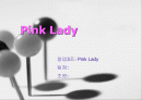 여성 의류 전문 쇼핑몰 사업계획서 [ Pink Lady ] (온*오프라인매장) 1페이지