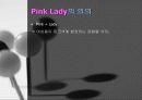여성 의류 전문 쇼핑몰 사업계획서 [ Pink Lady ] (온*오프라인매장) 3페이지