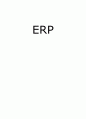 ERP(Enterprise Resource Planning) 시스템 1페이지