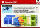 BC카드의 g-CRM 기업활용 사례(A+레포트)★★★★★ 4페이지
