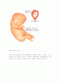 임신과 출산 24페이지