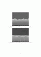 홀로그래픽 리소그래피 공정을 이용한 분광기 제작 19페이지