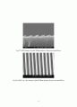 홀로그래픽 리소그래피 공정을 이용한 분광기 제작 20페이지