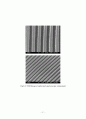 홀로그래픽 리소그래피 공정을 이용한 분광기 제작 25페이지