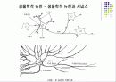 알기 쉬운 인공 신경망 개념 및 계산 과정 설명 ( Neural Network ) 4페이지