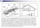 [주거학]친환경 건축의 개요와 국내외 사례분석(리포트) 25페이지