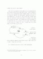 한국관료체제 분석을 통한 지식관료로의 전환방안 11페이지