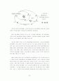 한국관료체제 분석을 통한 지식관료로의 전환방안 24페이지