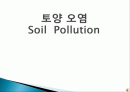 토양의 오염원인과 피해, 해결방안에 대한 발표ppt  1페이지