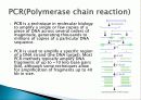 RAPD,Random Amplification of Polymorphic DNA 3페이지