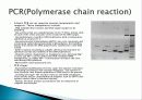 RAPD,Random Amplification of Polymorphic DNA 4페이지