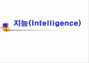지능(Intelligence) 1페이지