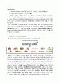 BBQ의 브랜드 세계화 방안 (Mcdonald’s Franchise 성공 사례 분석을 통한 BBQ의 새로운 세계화 전략 제시) 23페이지