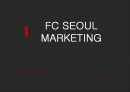FC서울 마케팅 (FC SEOUL MARKETING) 1페이지