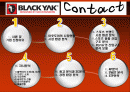 블랙야크(Black Yak) 마케팅전략분석/ 서론/아웃도어 시장현황/시장환경분석/스포츠 용품산업구조분석/자사분석/경쟁환경분석/광고분석/STP전략/ SWOT분석/4p분석 2페이지