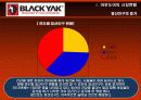 블랙야크(Black Yak) 마케팅전략분석/ 서론/아웃도어 시장현황/시장환경분석/스포츠 용품산업구조분석/자사분석/경쟁환경분석/광고분석/STP전략/ SWOT분석/4p분석 10페이지