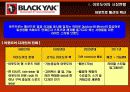 블랙야크(Black Yak) 마케팅전략분석/ 서론/아웃도어 시장현황/시장환경분석/스포츠 용품산업구조분석/자사분석/경쟁환경분석/광고분석/STP전략/ SWOT분석/4p분석 11페이지