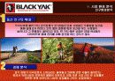 블랙야크(Black Yak) 마케팅전략분석/ 서론/아웃도어 시장현황/시장환경분석/스포츠 용품산업구조분석/자사분석/경쟁환경분석/광고분석/STP전략/ SWOT분석/4p분석 14페이지