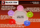 블랙야크(Black Yak) 마케팅전략분석/ 서론/아웃도어 시장현황/시장환경분석/스포츠 용품산업구조분석/자사분석/경쟁환경분석/광고분석/STP전략/ SWOT분석/4p분석 18페이지
