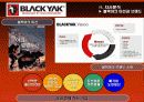 블랙야크(Black Yak) 마케팅전략분석/ 서론/아웃도어 시장현황/시장환경분석/스포츠 용품산업구조분석/자사분석/경쟁환경분석/광고분석/STP전략/ SWOT분석/4p분석 28페이지
