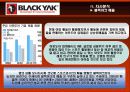 블랙야크(Black Yak) 마케팅전략분석/ 서론/아웃도어 시장현황/시장환경분석/스포츠 용품산업구조분석/자사분석/경쟁환경분석/광고분석/STP전략/ SWOT분석/4p분석 34페이지