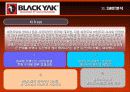 블랙야크(Black Yak) 마케팅전략분석/ 서론/아웃도어 시장현황/시장환경분석/스포츠 용품산업구조분석/자사분석/경쟁환경분석/광고분석/STP전략/ SWOT분석/4p분석 48페이지