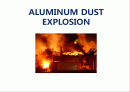 [안전공학] ALUMINUM DUST EXPLOSION (알루미늄 분진폭발 사고사례)  1페이지
