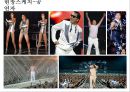국내/외 콘서트 사례 비교 - 싸이(Psy) & 레이디 가가(Lady gaga).ppt 6페이지