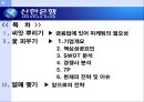 신한은행의 마케팅 사례 분석  2페이지