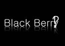 [신제품 개발론] 블랙베리(Black Berry).ppt 4페이지