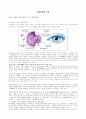 [의학] 눈의구조와 기능 1페이지