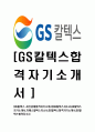 [GS칼텍스-2013년최신공채합격자기소개서] GS칼텍스자소서,GS칼텍스자기소개서,지에스칼텍스자소서,GS칼택스합격자기소개서,GS칼텍스합격자소서 1페이지