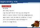 한국마사회,한국마사회채용정보,한국마사회기업분석,마사회기업소개,마사회기업분석 13페이지