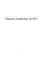 Maestro leadersh,리더십,리더쉽 1페이지