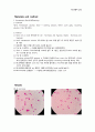 생물학 실험 - 세포사의 특징(apoptosis) 관찰 4페이지