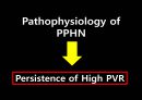 Persistent pulmonary hypertension of the newborn 신생아 지속성폐동맥고혈압 [영어,영문].pptx 6페이지