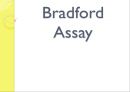 Bradford Assay (단백질 정량).pptx 1페이지