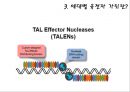 유전자 가위기술 이해 (유전자 가위,유전자 치료,크리스퍼,징크핑거,ZFNs,탈렌,TALENs,CRISPRs)유전자 가위란? 8페이지