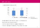 LG생활건강,중국 브랜딩 전략,중국시장 진출 전략,중국시장 브랜드전략,중국 진출 및 연혁,브랜드마케팅,서비스마케팅,글로벌경영,사례분석,swot,stp,4p 29페이지