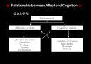 Introduction+to+Affect+and+Cognition 11페이지