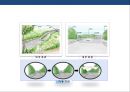 도로경관의 이해 및 설계  (도로경관의 이해 ) 11페이지