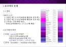 보라색 purple [마케팅.뮤지션.상징.기업.스포츠] 4페이지