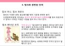 핑크색 PINK COLOR [마케팅.의미.상징.패션.마크] 7페이지