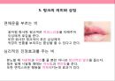 핑크색 PINK COLOR [마케팅.의미.상징.패션.마크] 15페이지
