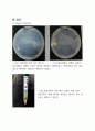 대장균의 형질전환, Plasmid DNA 분리와 전기영동 레포트 9페이지