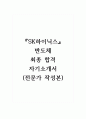 SK하이닉스 반도체 최종 합격 자기소개서 (전문가 작성본) 1페이지