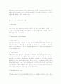 지방분권화의 득과 실 9페이지